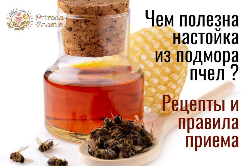 Продукты пчеловодства при выпадении волос