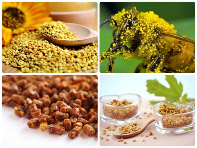 Пчелиные продукты для лечения фото и названия